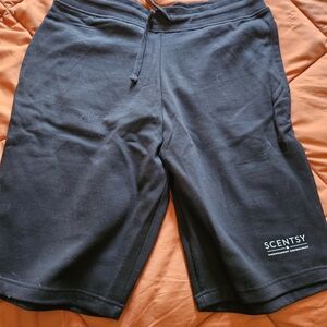 Scentsy Dark Athletic Men's Shorts